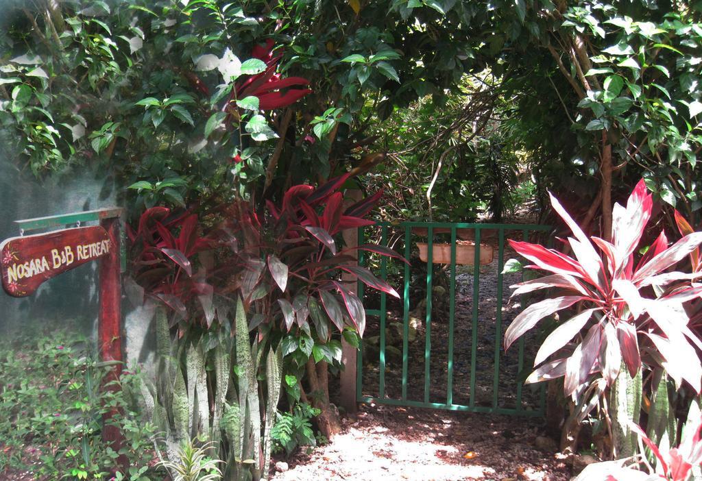 Nosara B&B Retreat Esterno foto